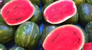 Are Watermelon Plants Male Or Female?(Important Facts)