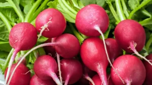 Is Radish a Herb Or A Shrub? (Explained)