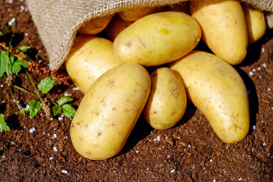 Illustration of potatoes with leaves indicating the importance of nutrient needs for optimal growth